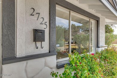 Large double panel windows
