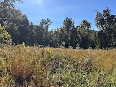 00 Sfc 700, Forrest City, AR 72335 - photo 4