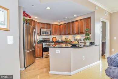 4490 Market Commons Dr unit 410, Fairfax, VA 22033 - photo 6