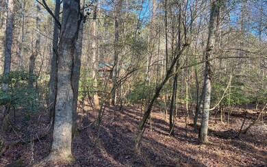 Additional View