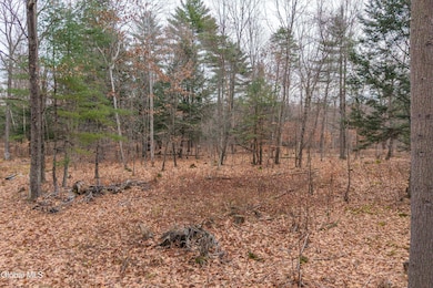 415 Big Boom Rd, Queensbury, NY 12804 - photo 3