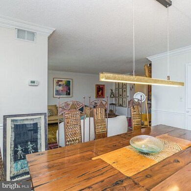 Montebello unit 516, Alexandria, VA 22303 - photo 6