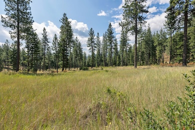 13902 Highland Trail, Alberton, MT 59820 - photo 2