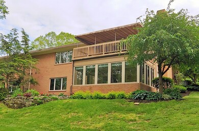 Rear view
