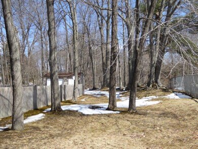 Side Yard
