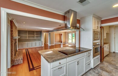 Kitchen Island Electrice Stovetop
