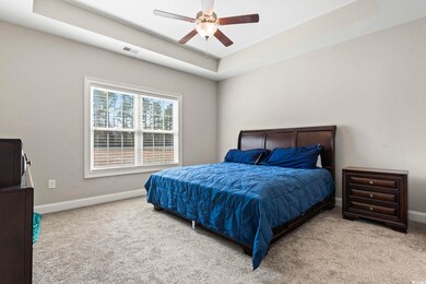 Carpeted bedroom with a ceiling fan, a raised ceil