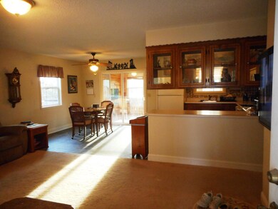 4109 Casey Rd Forsyth MO 65653 (13)