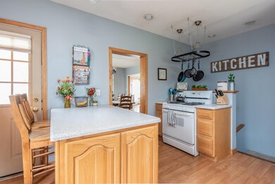 1017 N Hudson St, Lowell, MI 49331 - photo 4