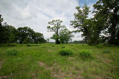 938 Jones Rd, New Waverly, TX 77358 - photo 5