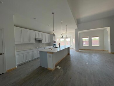 1620 Somerset Ln, Weatherford, TX 76087 - photo 5