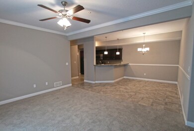4006 W Worley St 302 Columbia, MO 65203