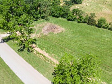 DJI_0826