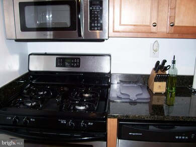 Mica Condominiums unit 506, Silver Spring, MD 20910 - photo 6