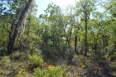 000 Sea Oaks Loop, Keaton Beach, FL 32348 - photo 4