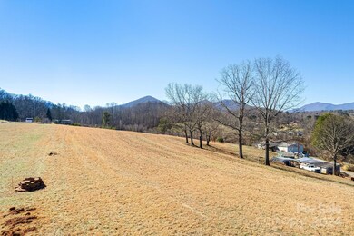 99999 Old Farmstead Trail, Leicester, NC 28748 - photo 4