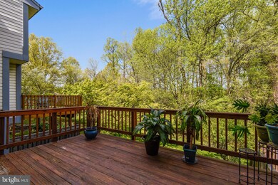 53 Tivoli Lake Ct, Silver Spring, MD 20906 - photo 6