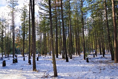 10 Winston Rd, Ronald, WA 98940 - photo 7