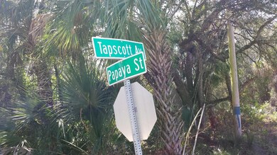 0 Tapscott Ave, Cocoa, FL 32926 - photo 3