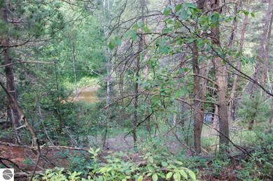 VL Rifle River Trail, West Branch, MI 48661 - photo 3