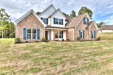12620 Pebble Ridge Dr, Byhalia, MS 38611 - photo 5