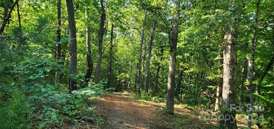 367 Midway Rd, Statesville, NC 28625 - photo 7