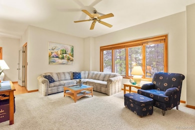 19085 Merry Men Cir, Monument, CO 80132 - photo 6