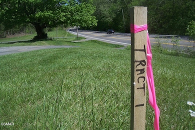 Tract 1 Chapman Hwy, Seymour, TN 37865 - photo 4