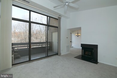 11554 Rolling Green Ct unit 301, Reston, VA 20191 - photo 6