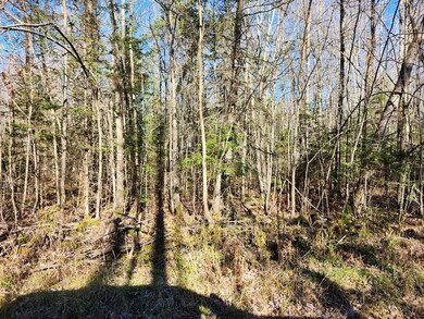 W6926 Mae Rd W, Ladysmith, WI 54848 - photo 7