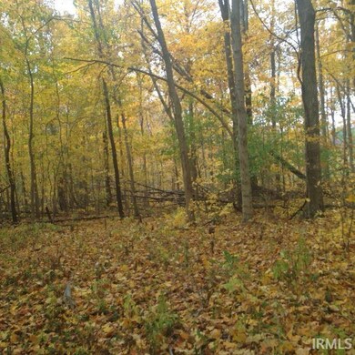 450 S 300 E, Wabash, IN 46992 - photo 3