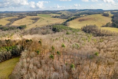 TBD Dr, Hillsville, VA 24343 - photo 5