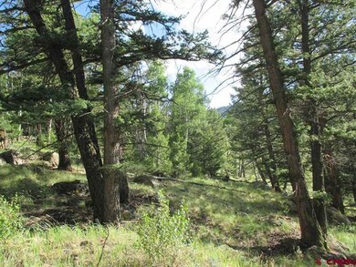 0 Slumgullion Trail unit 755408, Powderhorn, CO 81243 - photo 6