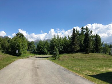 Back Yard/Side Yard