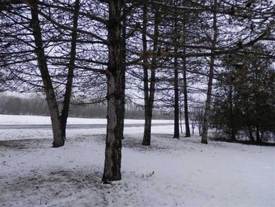 View pine trees in front of house
