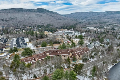 23 Black Bear Rd unit 410, Waterville Valley, NH 03215 - photo 3