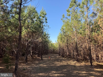 0 Hardware Rd unit VABH2000240, Scottsville, VA 24590 - photo 6