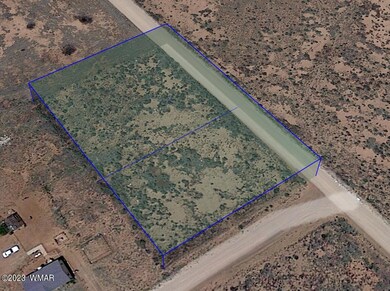 Peach Blossom Birdseye View SSW