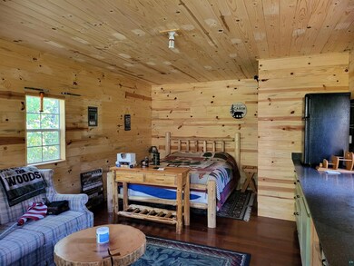 Bedroom featuring wood walls, dark hardwood / wood