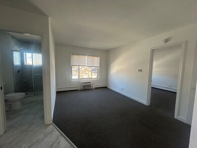 2825 Ridgeland Ave unit 10, Berwyn, IL 60402 - photo 4