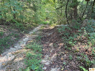 0 Pickett Mell Rd, Columbia, KY 42728 - photo 4