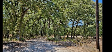 843 Jackson Trail, Azle, TX 76020 - photo 4