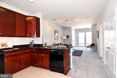 8045 Newell St unit 413, Silver Spring, MD 20910 - photo 7