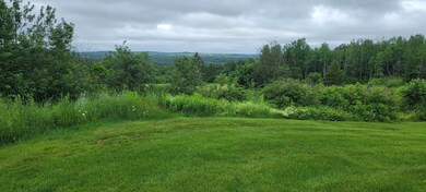 20210701_111939.LARGE