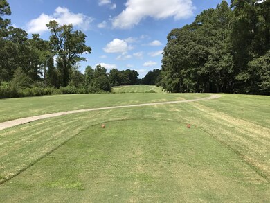 418 Country Club Dr, Jacksonville, NC 28546 - photo 6