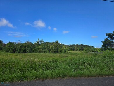 2 Victor Cubero, Quebradillas, PR 00678 - photo 2