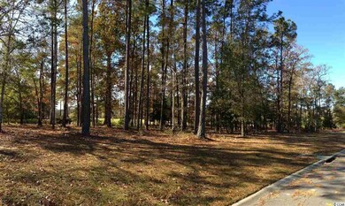 Lot 15 Bantry Ln, Conway, SC 29526 - photo 6