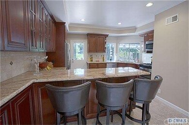 Remodeled Gourmet Kitchen