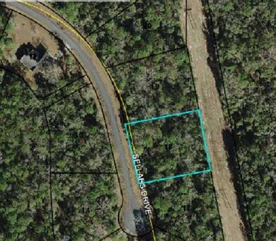 120 Sellars Dr, Crawfordville, FL 32327 - photo 6