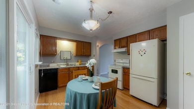 5251 Renee St, Lansing, MI 48911 - photo 6